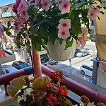 Apartment In Tirana
